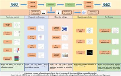 Investigation of the shared molecular mechanisms and hub genes between myocardial infarction and depression